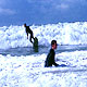 Surfing in Wexford