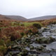 Wicklow Valley